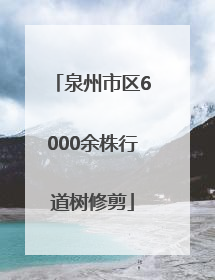 泉州市区6000余株行道树修剪