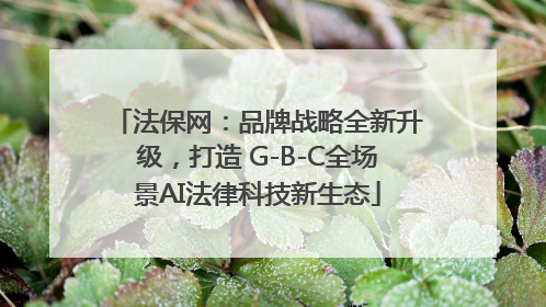 法保网：品牌战略全新升级，打造 G-B-C全场景AI法律科技新生态
