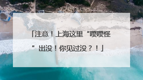 注意！上海这里“嘤嘤怪”出没！你见过没？！