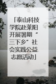 泰山科技学院赴莱阳开展暑期“三下乡”社会实践公益志愿活动