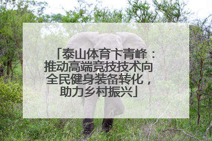 泰山体育卞青峰：推动高端竞技技术向全民健身装备转化，助力乡村振兴
