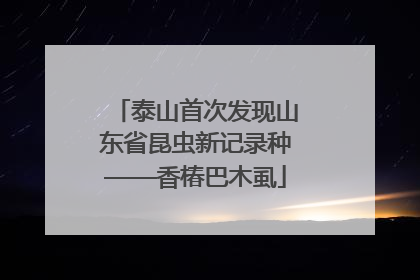 泰山首次发现山东省昆虫新记录种——香椿巴木虱