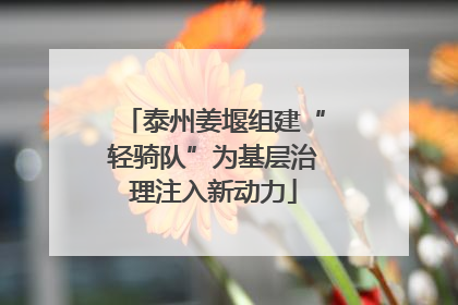 泰州姜堰组建“轻骑队”为基层治理注入新动力