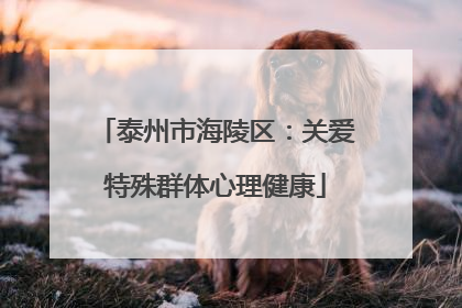 泰州市海陵区：关爱特殊群体心理健康