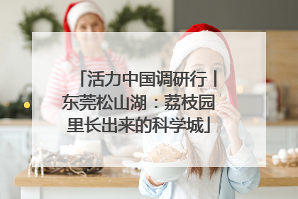 活力中国调研行丨东莞松山湖：荔枝园里长出来的科学城