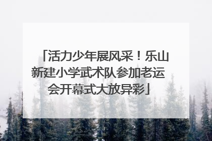 活力少年展风采！乐山新建小学武术队参加老运会开幕式大放异彩