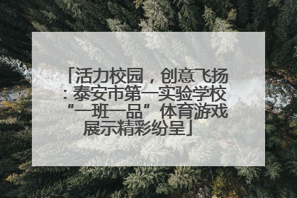 活力校园，创意飞扬：泰安市第一实验学校“一班一品”体育游戏展示精彩纷呈