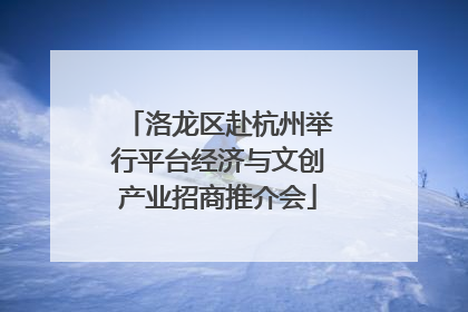 洛龙区赴杭州举行平台经济与文创产业招商推介会