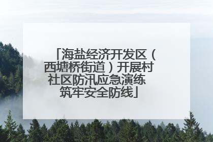 海盐经济开发区（西塘桥街道）开展村社区防汛应急演练 筑牢安全防线