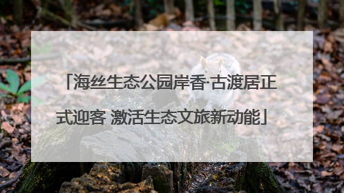 海丝生态公园岸香·古渡居正式迎客 激活生态文旅新动能