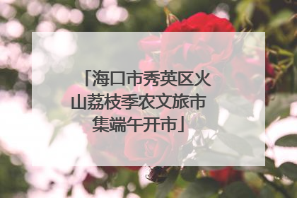 海口市秀英区火山荔枝季农文旅市集端午开市