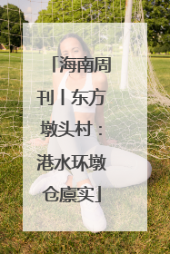 海南周刊丨东方墩头村：港水环墩仓廪实