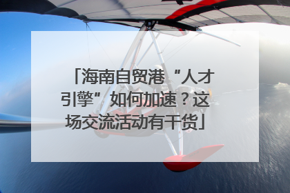 海南自贸港“人才引擎”如何加速？这场交流活动有干货