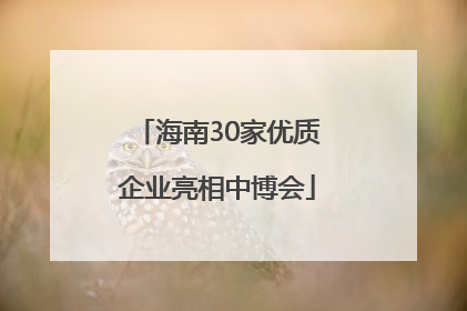 海南30家优质企业亮相中博会