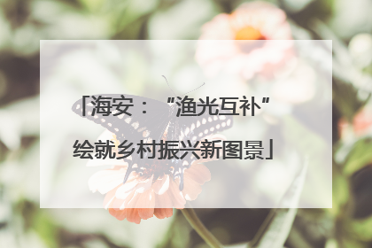 海安:“渔光互补” 绘就乡村振兴新图景
