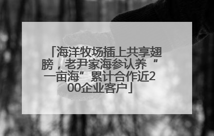 海洋牧场插上共享翅膀，老尹家海参认养“一亩海”累计合作近200企业客户