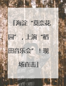 海淀“莫奈花园”，上演“稻田音乐会”！现场直击