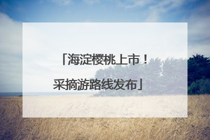 海淀樱桃上市！采摘游路线发布