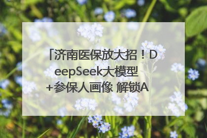 济南医保放大招！DeepSeek大模型+参保人画像 解锁AI医保管家新体验