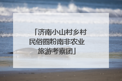 济南小山村乡村民俗圈粉南非农业旅游考察团