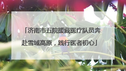 济南市五院援藏医疗队员奔赴雪域高原，践行医者初心