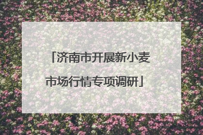 济南市开展新小麦市场行情专项调研