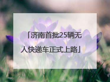 济南首批25辆无人快递车正式上路