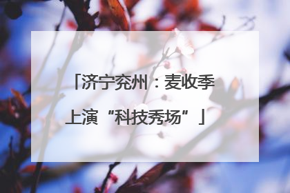 济宁兖州：麦收季上演“科技秀场”