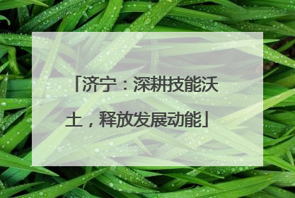 济宁：深耕技能沃土，释放发展动能