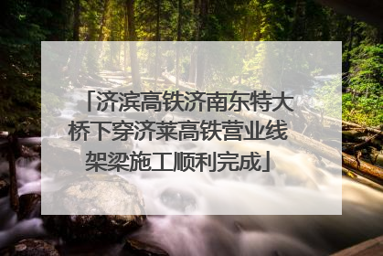 济滨高铁济南东特大桥下穿济莱高铁营业线架梁施工顺利完成