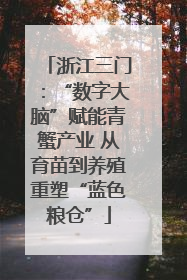 浙江三门：“数字大脑”赋能青蟹产业 从育苗到养殖重塑“蓝色粮仓”
