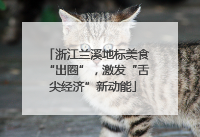浙江兰溪地标美食“出圈”，激发“舌尖经济”新动能