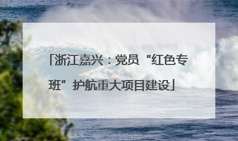 浙江嘉兴：党员“红色专班”护航重大项目建设