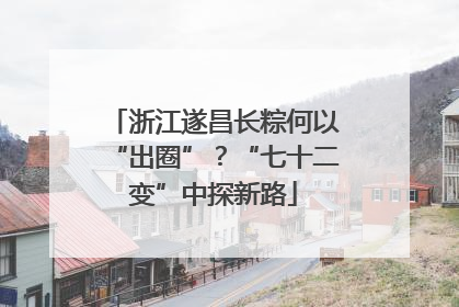 浙江遂昌长粽何以“出圈”？“七十二变”中探新路