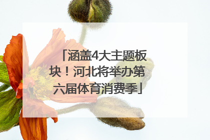 涵盖4大主题板块！河北将举办第六届体育消费季