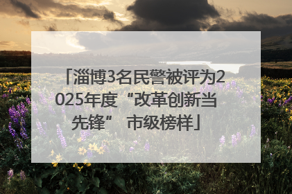 淄博3名民警被评为2025年度“改革创新当先锋” 市级榜样
