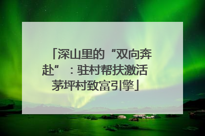 深山里的“双向奔赴”：驻村帮扶激活茅坪村致富引擎