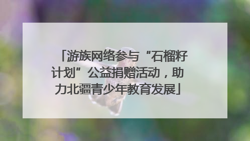 游族网络参与“石榴籽计划”公益捐赠活动，助力北疆青少年教育发展