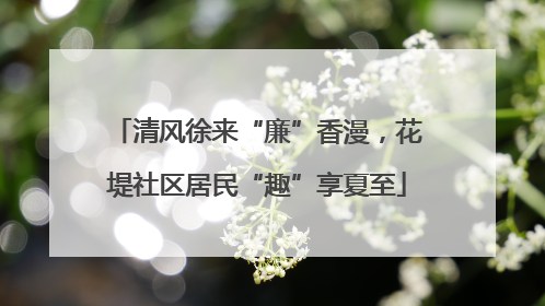 清风徐来“廉”香漫，花堤社区居民“趣”享夏至