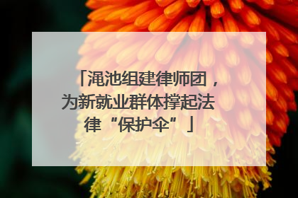 渑池组建律师团，为新就业群体撑起法律“保护伞”