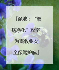 渑池：“双病净化”攻坚 为畜牧业安全保驾护航