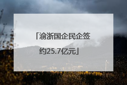 渝浙国企民企签约25.7亿元