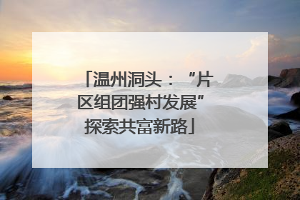 温州洞头：“片区组团强村发展”探索共富新路