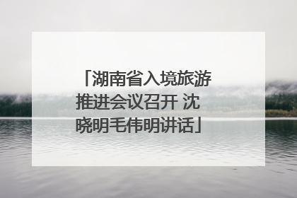 湖南省入境旅游推进会议召开 沈晓明毛伟明讲话