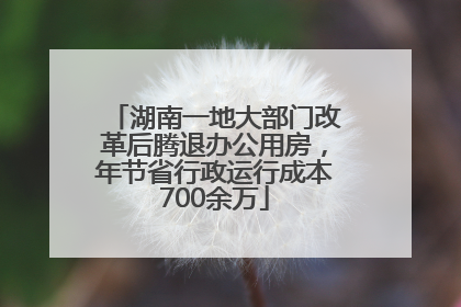 湖南一地大部门改革后腾退办公用房，年节省行政运行成本700余万