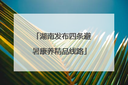 湖南发布四条避暑康养精品线路