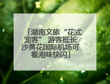 湖南文旅“花式宠客” 游客抵长沙黄花国际机场可看湘味快闪