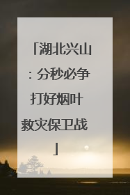湖北兴山：分秒必争 打好烟叶救灾保卫战