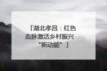 湖北孝昌：红色血脉激活乡村振兴“新动能”