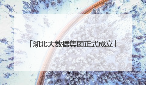 湖北大数据集团正式成立